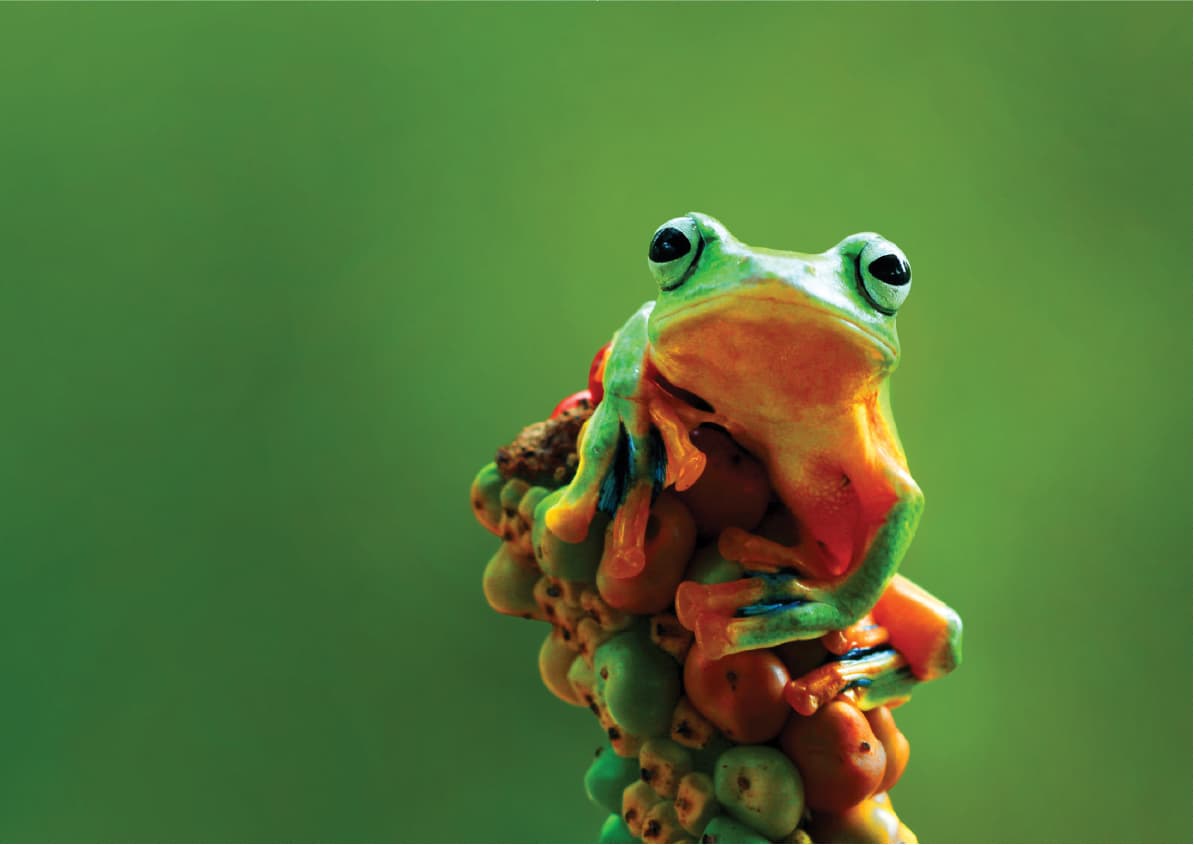 Revoria Printing Solutions - Next Revolution in Print